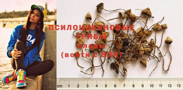 мефедрон Новодвинск