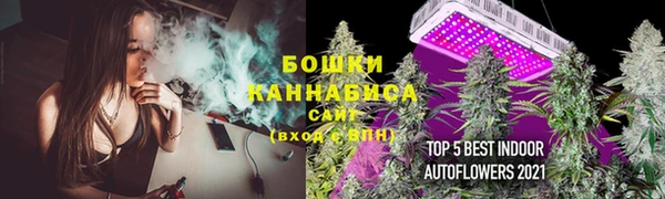 ПСИЛОЦИБИНОВЫЕ ГРИБЫ Нефтегорск